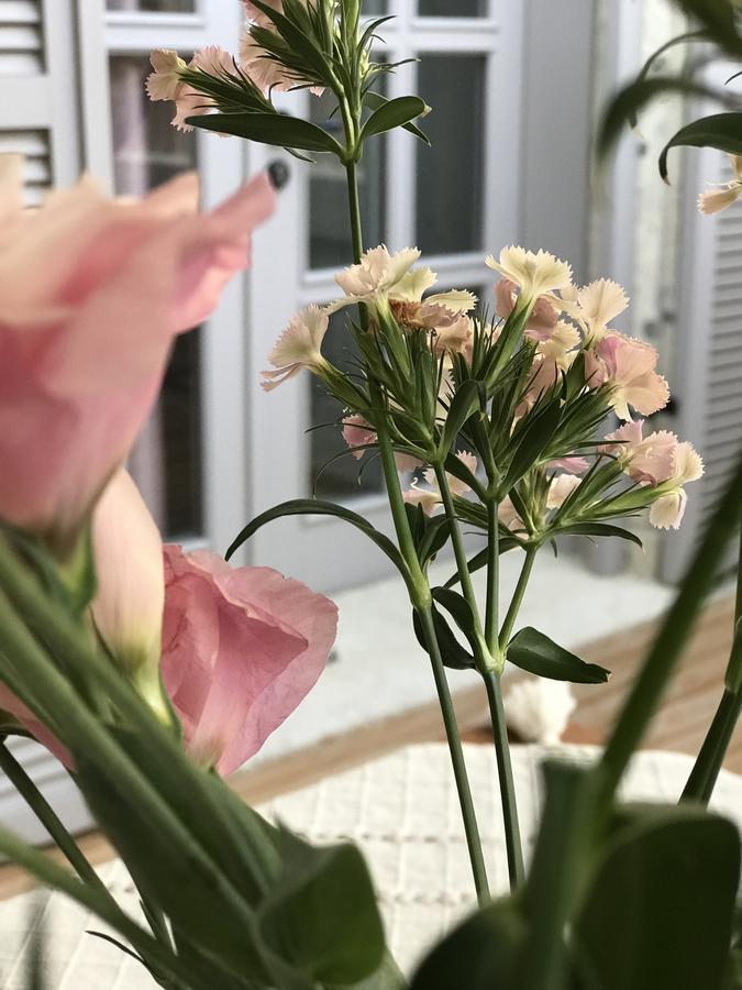 Cona Butik Otel Alacati Kültér fotó
